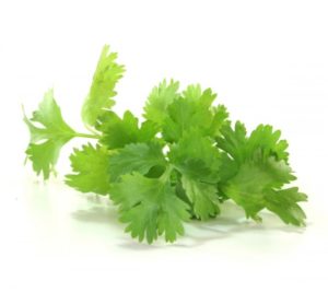 buy fresh coriander leaves online at guaranteed lowest price