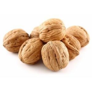 buy premium quality Colombia paper shell walnut kagaji akhrot at guaranteed lowest price