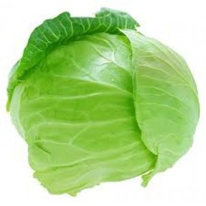 buy cabbage patta gobhi at guaranteed lowest price.