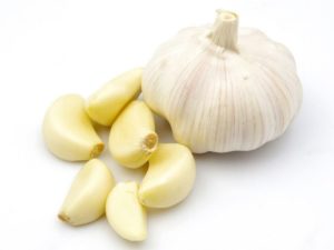 buy premium fresh quality garlic leshun at guaranteed lowest price