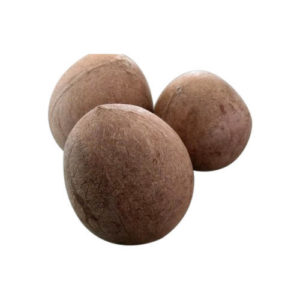 buy dry coconut at guaranteed lowest price